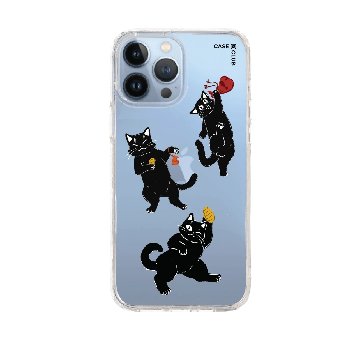 ชีวิตประจำวันของแมวดำ